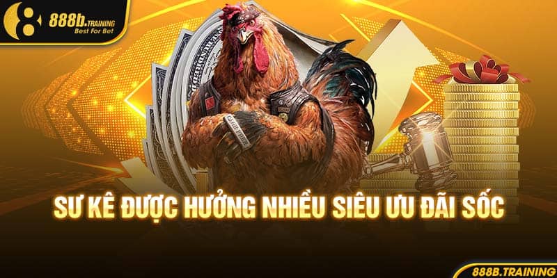 SẢNH CHƠI ĐÁ GÀ 888B GIẢI TRÍ MÁU LỬA, XEM LÀ MÊ 2 Sư kê được hưởng nhiều siêu ưu đãi sốc