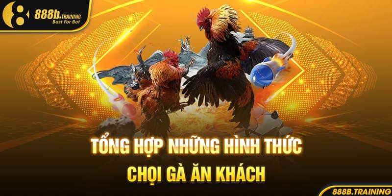 SẢNH CHƠI ĐÁ GÀ 888B GIẢI TRÍ MÁU LỬA, XEM LÀ MÊ 3 Tổng hợp những hình thức chọi gà ăn khách